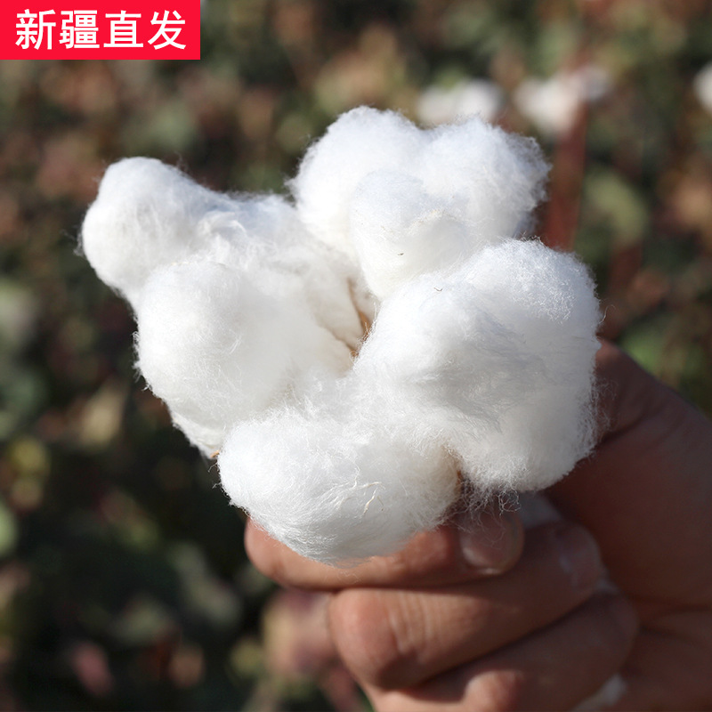 批发新疆散装棉花一级精梳棉长绒棉皮棉弹好棉絮被子被芯填充物