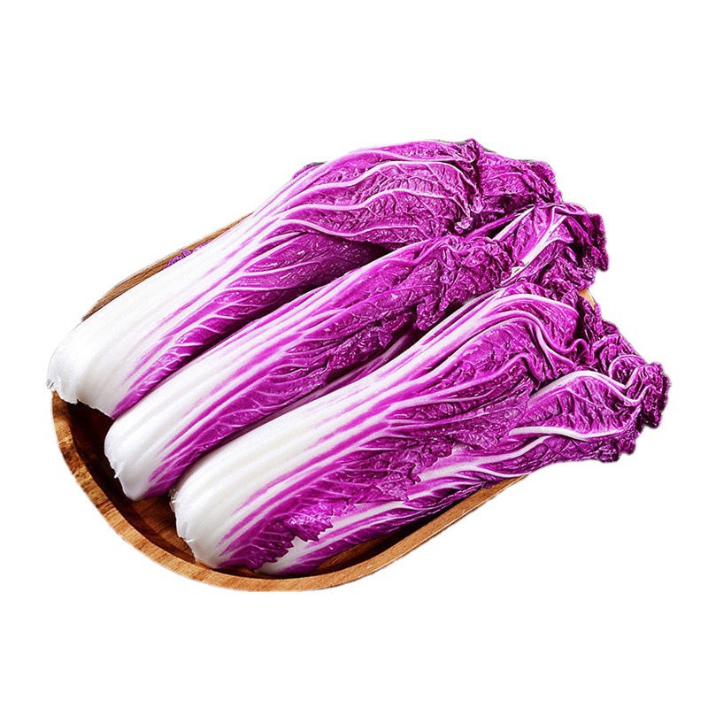 5斤顺丰起发 紫白菜紫罗兰大白菜紫裔白菜沙拉配菜西餐用菜