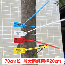 70cm塑料封条集装箱物流煤炭水泥铅封防调包扣一次性苗木扎带封签