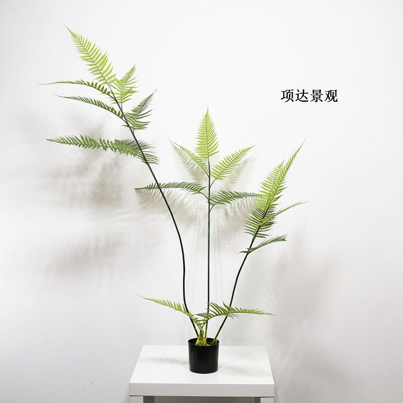仿真金丝蕨金线蕨金粉蕨金丝猴蕨室内咖啡厅酒店大堂书店盆栽摆件