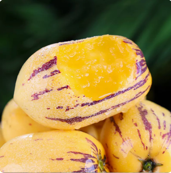 甘肃民勤人参果长果新鲜9斤水果当季水果整箱人参果大果特大果