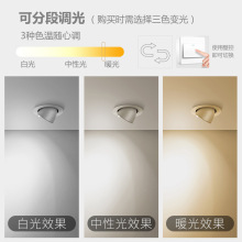 象鼻灯射灯三色嵌入式客厅家用防眩天花灯商用服装店聚批发
