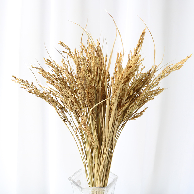 干花花束网红花束ins干花天然麦穗开业大麦田园装饰摆件拍摄