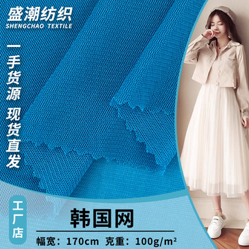 00g韩国网 高弹涤纶针织网纱布 轻薄微透网纱连衣裙时尚服装面料