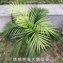 工厂直供室内景观配材大葵叶仿真草工程蕨叶散尾葵软装家居绿植墙