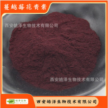 黑龙江野生蔓越莓果粉大兴安岭越橘粉原味红豆果粉100克纯粉包邮