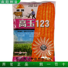 先玉335玉米种子登海先锋第高产一名原装正品安徽陕西河南山东北