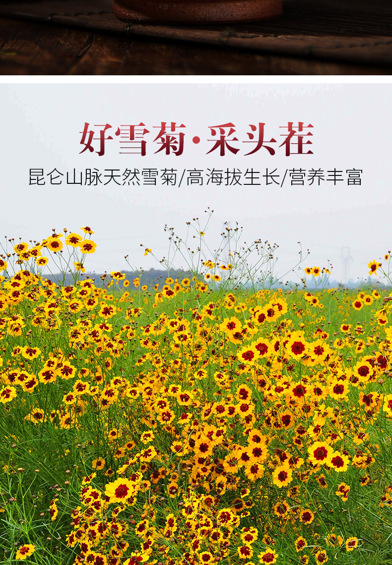 品韵花香昆仑雪菊天山雪菊花茶野生血菊胎菊王正宗新疆40克/罐