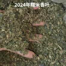 2024年天然植物新叶散装供应奶茶店商用烘焙云南特产带梗糯米香叶