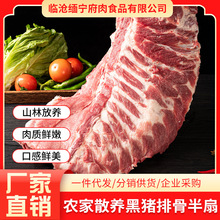 云南精选黑猪肉排骨厂家现货批发煲汤烹饪冷冻生鲜食材新鲜猪排骨