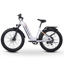 Shengmilo 欧洲海外仓可代发48V500W电动自行车八方无刷电机MX05