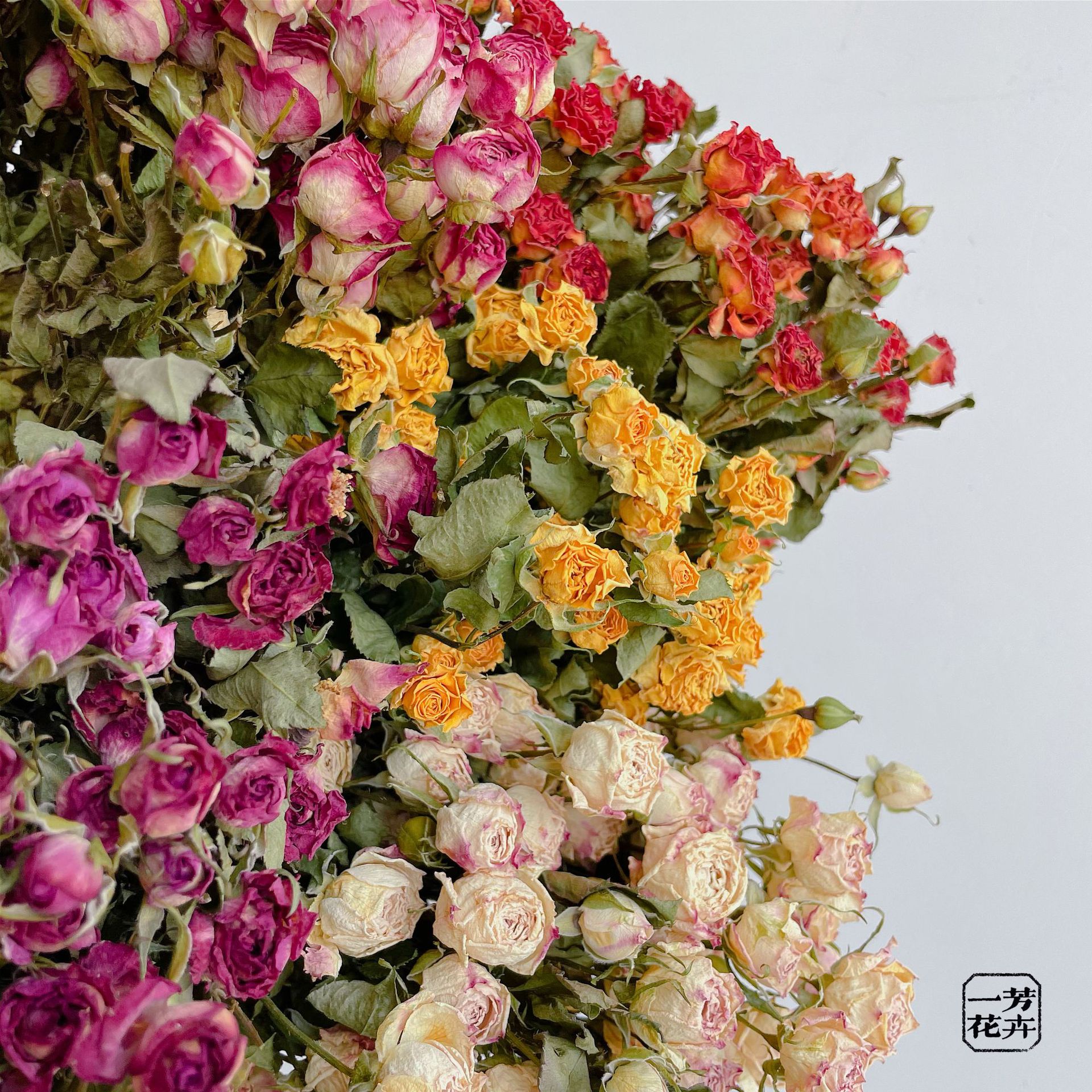 玫瑰干花花束 多头泡泡玫瑰蔷薇干花单头玫瑰 烤干玫瑰干花批发