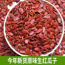红结婚大粒农家瓜子直销生红瓜子产地广西特产原味葵花子包装其他