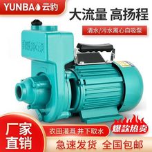 大流量污水自吸泵家用220V离心泵380V2寸3寸灌溉抽水机增压泵井水