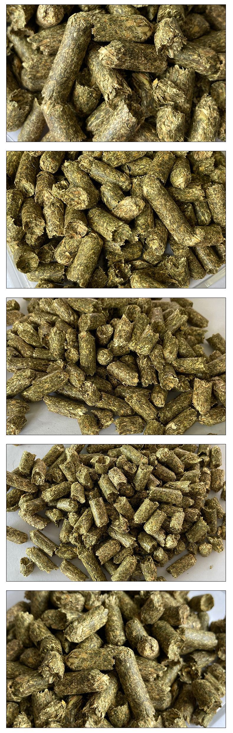 苜蓿草颗粒12蛋白源头货源家畜植物性颗粒饲料紫花苜蓿草颗粒加工