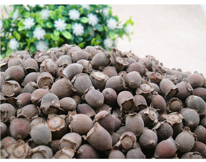 桃金娘果豆稔干岗捻仔乌稔果菍山捻子干货山念子果地菍泡酒