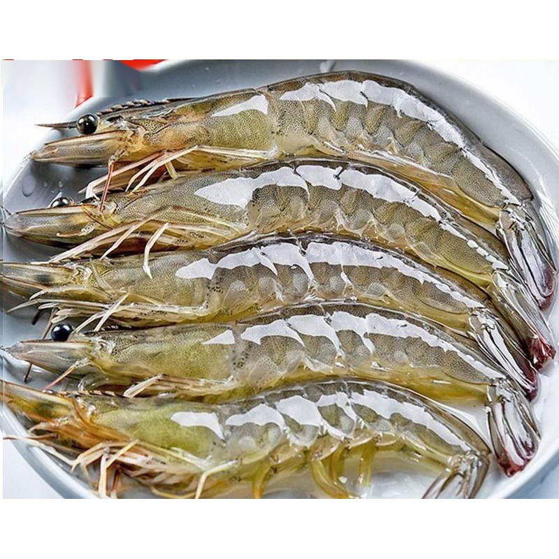 活海鲜对虾-活海鲜对虾厂家,品牌,图片,热帖-阿里巴巴