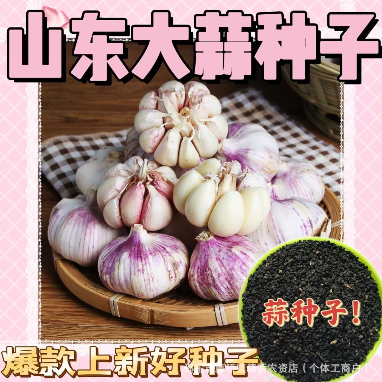 山东大蒜种子种籽蒜头菜种籽四季种植干蒜盆裁蒜苗蔬菜种子菜种