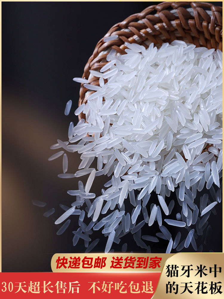 欢禾正宗猫牙长粒米2021新大米5kg10kg泰国香米煲仔饭丝苗油粘米
