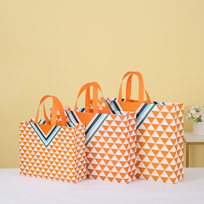 Factory Printing Portable Non-Woven Shopping Bag Simple Fashion All-Match Pattern Buggy Bag Bag Cross-Border Wholesale