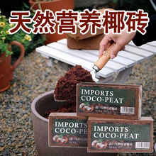进口脱盐椰砖椰土椰糠砖种花种菜营养土10斤多肉泥炭土大块椰壳土