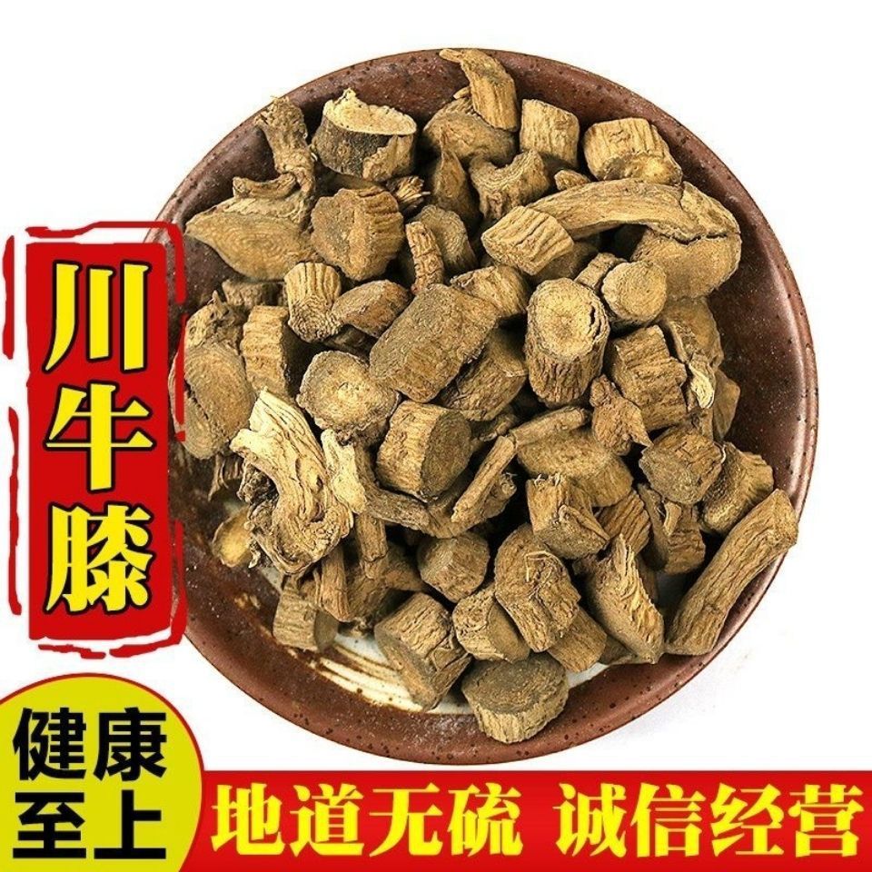 牛膝新货川牛膝500g牛漆根川牛漆正品川牛夕川牛膝粉非野生牛七