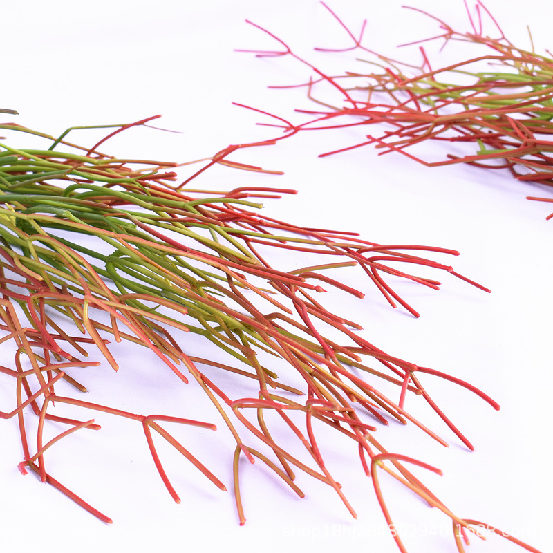 珊瑚枝节松萝铁栏垂吊植物绿植造景吊兰软装花艺设计珊瑚前面装饰