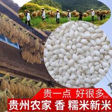贵州糯米新米包粽子糍粑用圆香禾糯白大米5斤农家产糙糯米杂粮