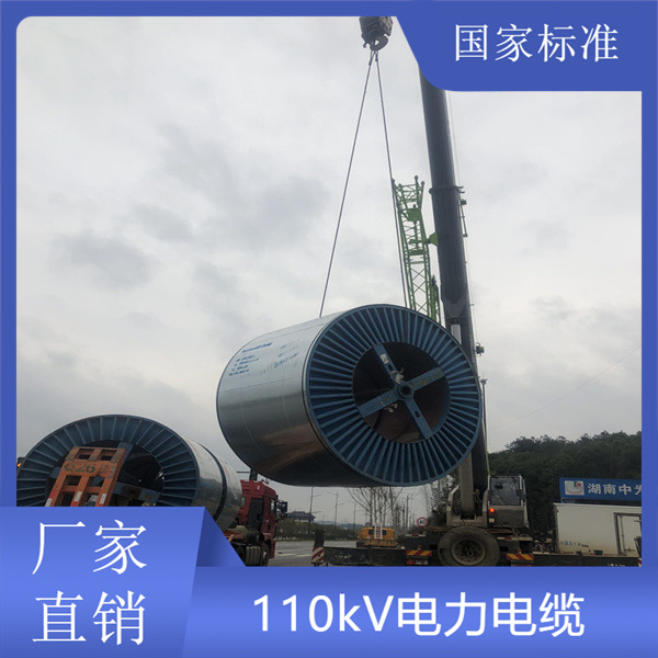 厂家直供110KV高压电缆 耐腐蚀抗拉伸 工矿隧道/变电站专用 质保1