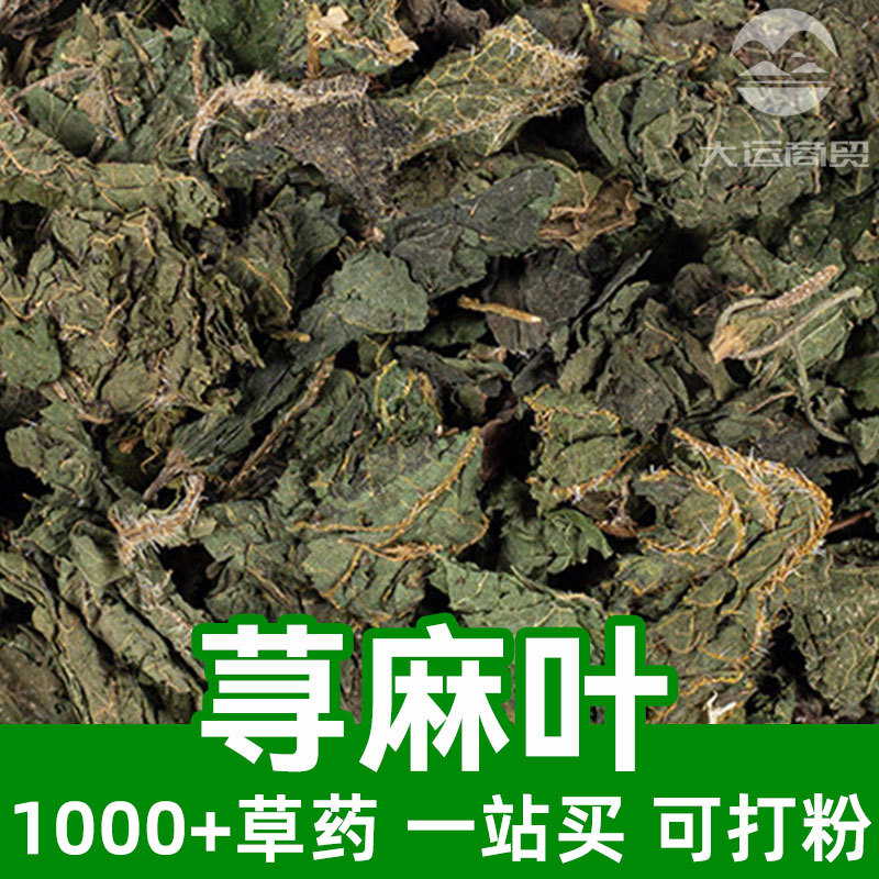 荨麻叶1kg食品级中草药原材料可打粉nettle leaf寻麻