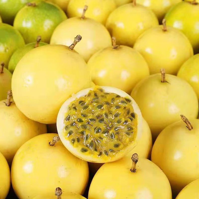 钦蜜9号黄金百香果新鲜水果5斤装大果热带水果当季钦蜜9号百香果