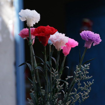 永生花带枝叶真康乃馨花束母亲教师节送妈妈老师女友女神礼物礼品