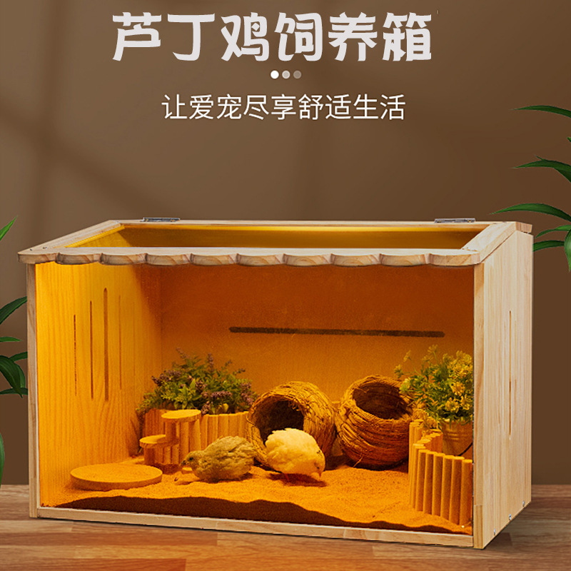 Rutin Chicken Feeding Box Wooden Hamster Cage Chicken Box Pet Box Breeding Djungarian Hamster Breeding Incubator