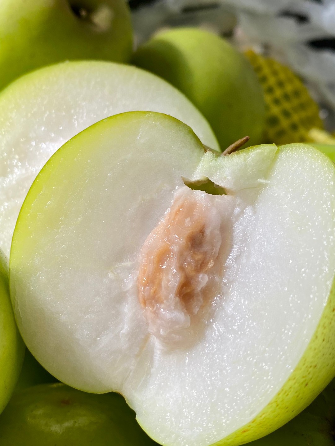 云南苹果枣青枣 甜 脆-阿里巴巴