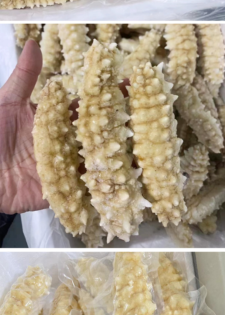 工厂货源 印尼刺王海参非印尼淡干海参 黄玉白金刺参即食海参500g