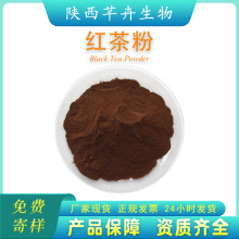 红茶粉99% 速溶红茶粉 红茶提取物  红茶多酚 红茶浓缩汁粉 包邮