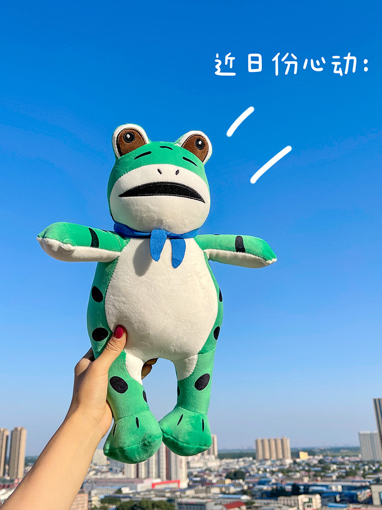 Best-Seller on Douyin Internet Celebrity Selling Baby Frog Doll Doll Funny Lonely Toad Plush Toy Stall Gift Batch