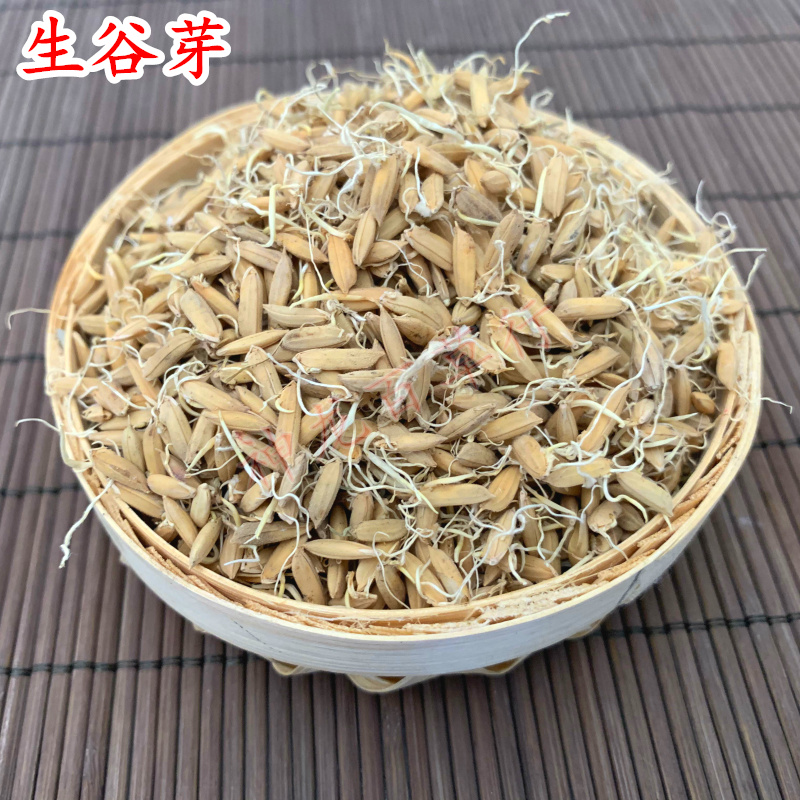 生稻芽新货 稻谷芽 谷芽 谷牙 另有稻芽 谷芽 稻牙 500克包邮