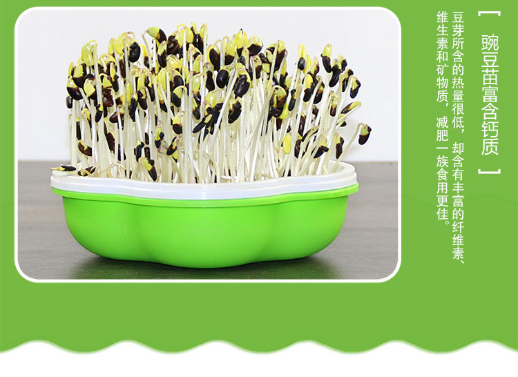 花生芽水培箱新款盒多功能种植盒神器芽苗菜豆芽菜育苗盘花朵盒