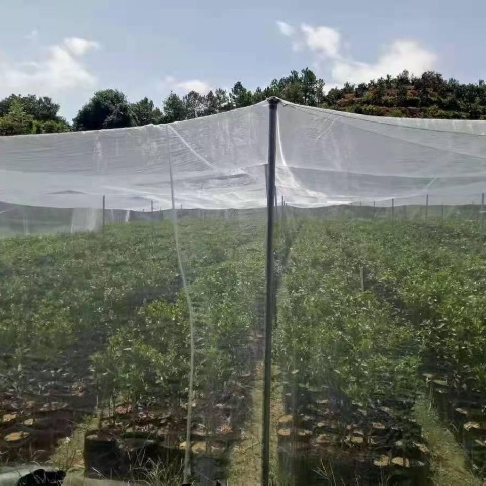 养猪场防蚊网大棚莲雾脐橙果园防雹网农用防虫网防蝇网晾晒网纱网