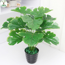 仿真金毛狗蕨金丝猴头厥树盆栽自然森林系禅意茶室绿植物中式装饰