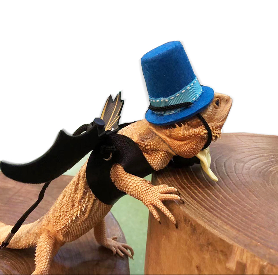 Lizard Rope Climbing Pet Going out Funny Dress up Crawling Portable Walking Adjustable Christmas Hat Halloween Top Hat