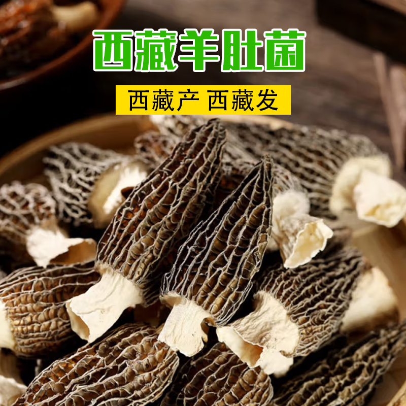 新货头茬羊肚菌干货500g西藏特产高原林地西藏羊肚菌羊肚蘑非新鲜