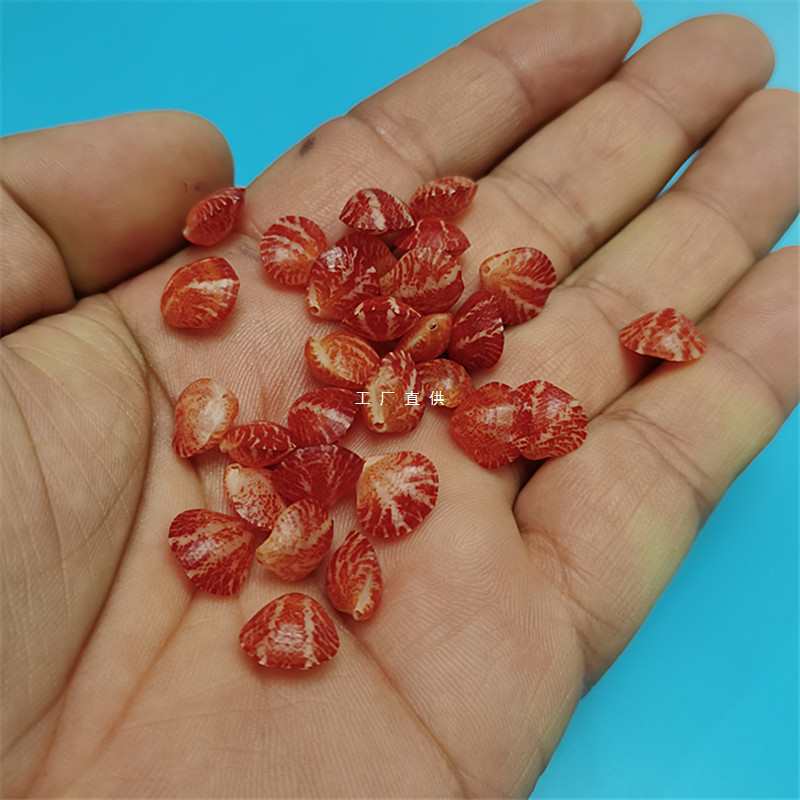 天然稀有红色贝壳赤焰酸浆贝0.8-1厘米天然红色标本螺收藏-阿里巴巴