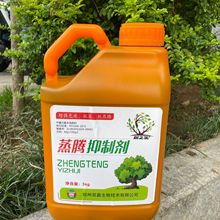 植物抗蒸腾抑制剂 大树抗蒸腾剂 夏季高温植物抗蒸腾作用抑制剂