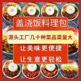 盖浇饭料理包冷冻外卖快餐半成品菜商用菜肴速食包速冻外卖盖浇饭