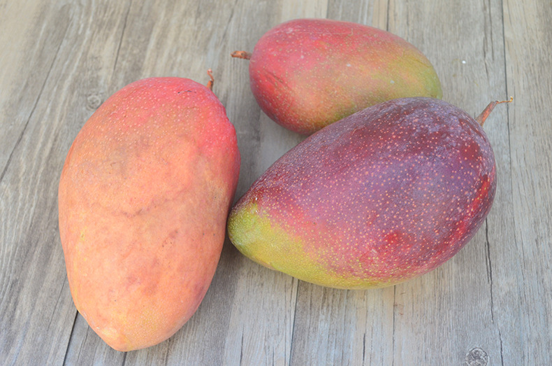 海南特大芒果应季新鲜时令热带现发水果三亚红玉芒玉文芒净果10斤