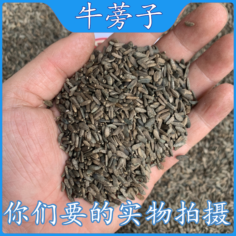 亳州中药材批 发牛蒡子1000克 大力子/牛蒡籽/大粒籽/非500克