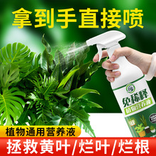 免稀释植物营养液通用型盆栽肥料室内绿植发财树养花卉叶面喷施澜