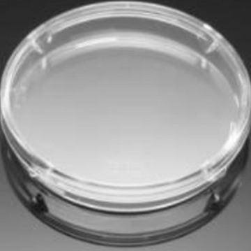 351006 falcon细菌学巴氏培养皿50×9mm紧扣盖型500个/箱未经过tc